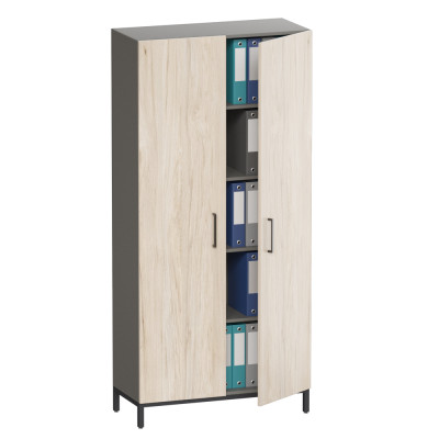 Шкаф распашной для документов 5 полок 2 двери MG-055